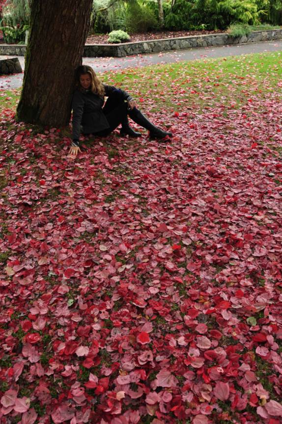 Descanso sobre um tapete de folhas vermelhas no Beacon Hill Park, em Victoria, capital da British Columbia, no oeste do Canadá